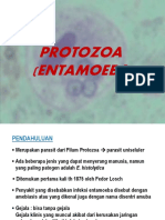 8127 2 Protozoa Entamoeba