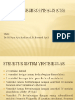 Sistem Cairan Serebrospinalis