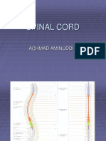 Spinal Cord: Achmad Aminuddin
