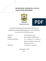 PROYECTO DE TESIS DANIEL PIUNDO ok.pdf