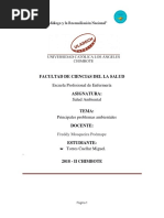 Principales Problemas Ambientales. Trabajo Realizado.