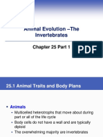 Animal Evolution - The Invertebrates: Chapter 25 Part 1
