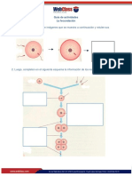 Guiadeactividades Lafecundacion