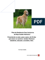 Plan de obediencia Golden Retriever.pdf