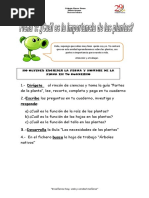 Fichas y Guias Unidad de Las Plantas
