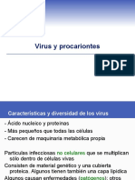 Virus y Procariontes