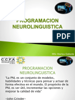 Programacion Neurolinguistica Maritza