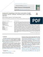 Arthropod Structure & Development: Fabian B Aumler, Stanislav N. Gorb, Sebastian Büsse