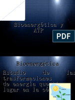 Bioenergetica y Atp