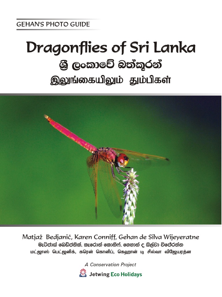 Dragonflies | PDF | Dragonfly | Insects