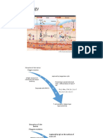 Pathophysiology of Dermatitis Atopic