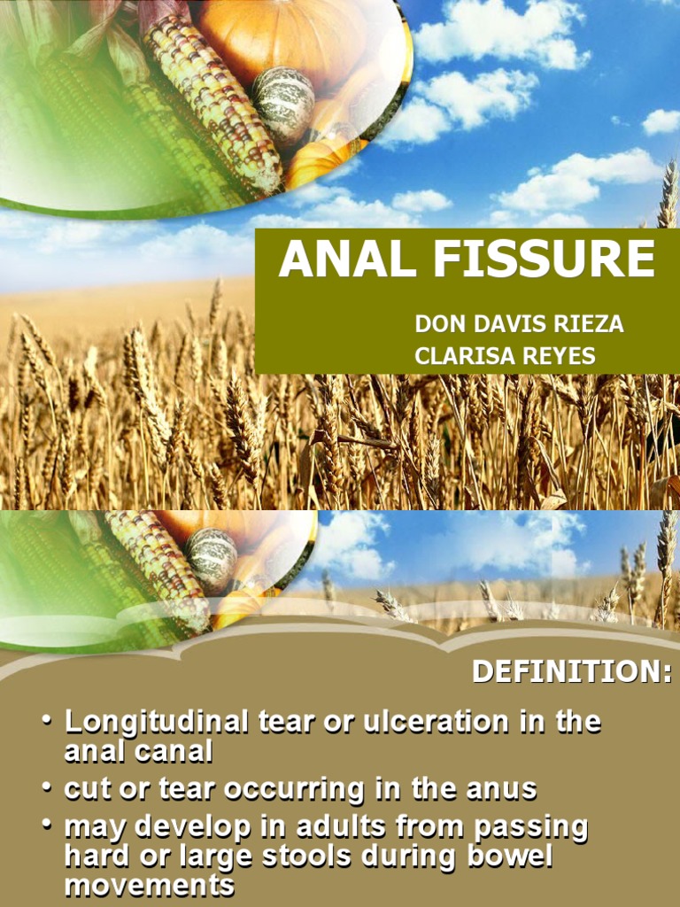 Understanding Anal Fissures: Causes, Symptoms, Diagnosis and Treatment ...