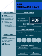 CV - Arie Mochamad Insan