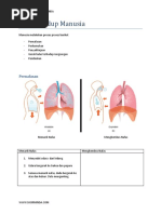 Proses-Hidup-Manusia