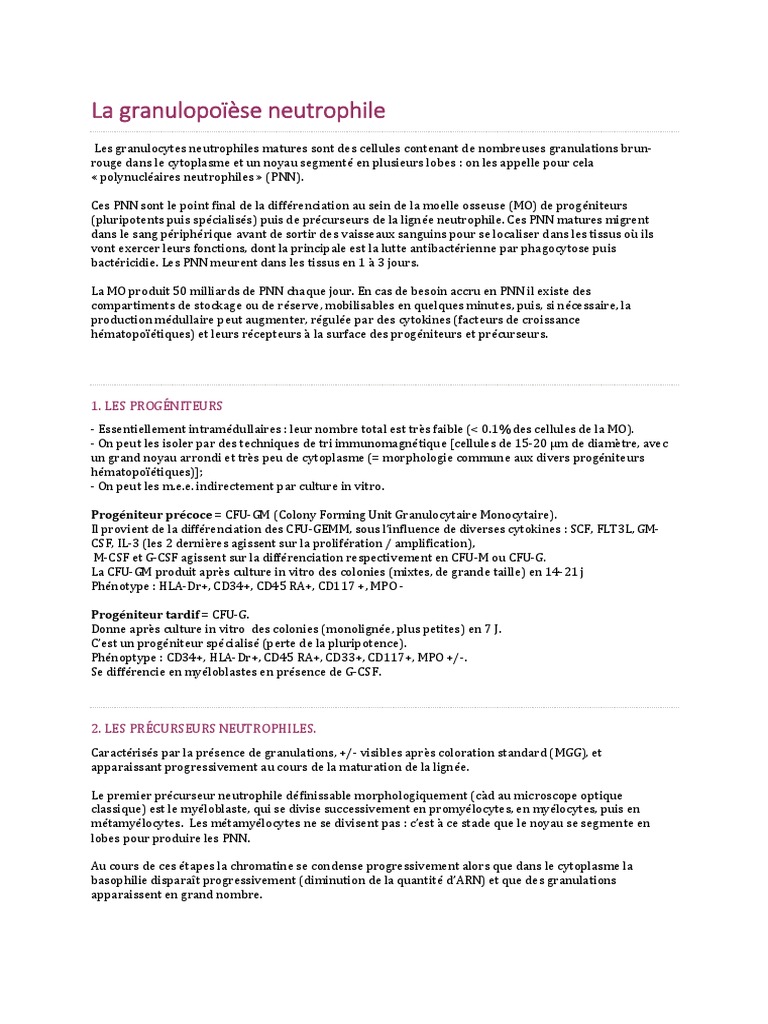 La Granulopoïèse Neutrophile: 1. Les Progéniteurs | PDF | Noyau ...