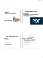 Aula 3_Parto e Atuação Fisioterapêutica 2018