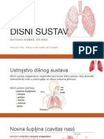 Disni Sustav