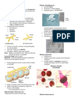 Comparative Anatomy of The Integumentary System