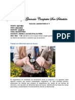 Laboratorio.8-4.pdf