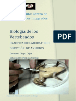 TP Biología de Los Vertebrados