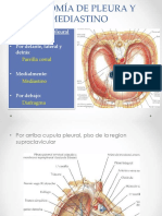 Copia de Copia de Semana 09 Mediastino