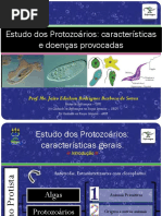Aula 02 Protozoário - caracteristicas gerais e doenças