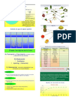 Fisiologia Parte 2