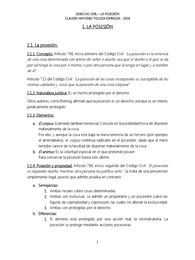 Posesión en Derecho Civil: Conceptos Clave | PDF | Posesión (Ley ...