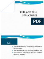 Oncologic Nursing Cells and Principles of Treatment