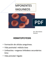 Hematopoyesis