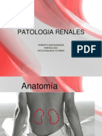 patologias renales