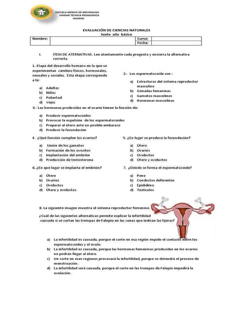 Prueba Sistema Reproductor Humano 6to Pdf Testículo Salud Sexual