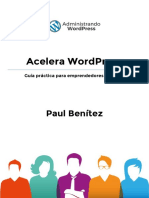 Acelera WordPress - Borrador.v.1