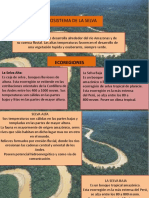 Ecosistemas selva Amazónica