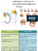 FatAmbCultDesenvNeuroCriança