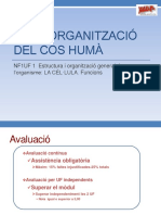 4. UF1 NF Funcions Cel·Lulars