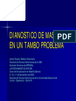 Diagnostico Mastitis Chaves