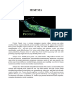 Protista