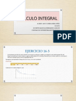 Calculo Integral