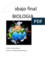 Trabajo Final