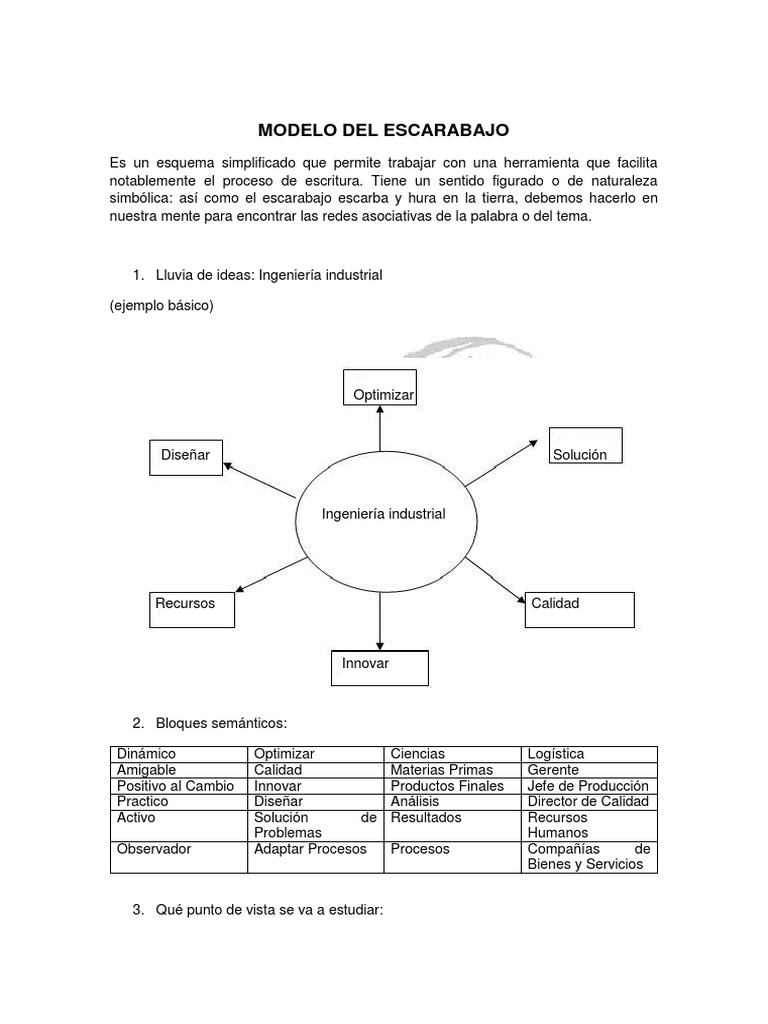 Modelo Del Escarabajo | PDF | Ingeniería Industrial | Ingeniería