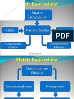 Matriz Extracelular 2018 PDF
