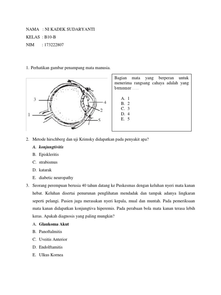 Soal Mata | PDF