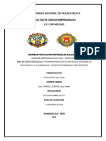 II Informe de Practicas Pre Profesionales