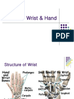 Wrist&Hand