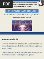 Mecanotransdução - Seminário