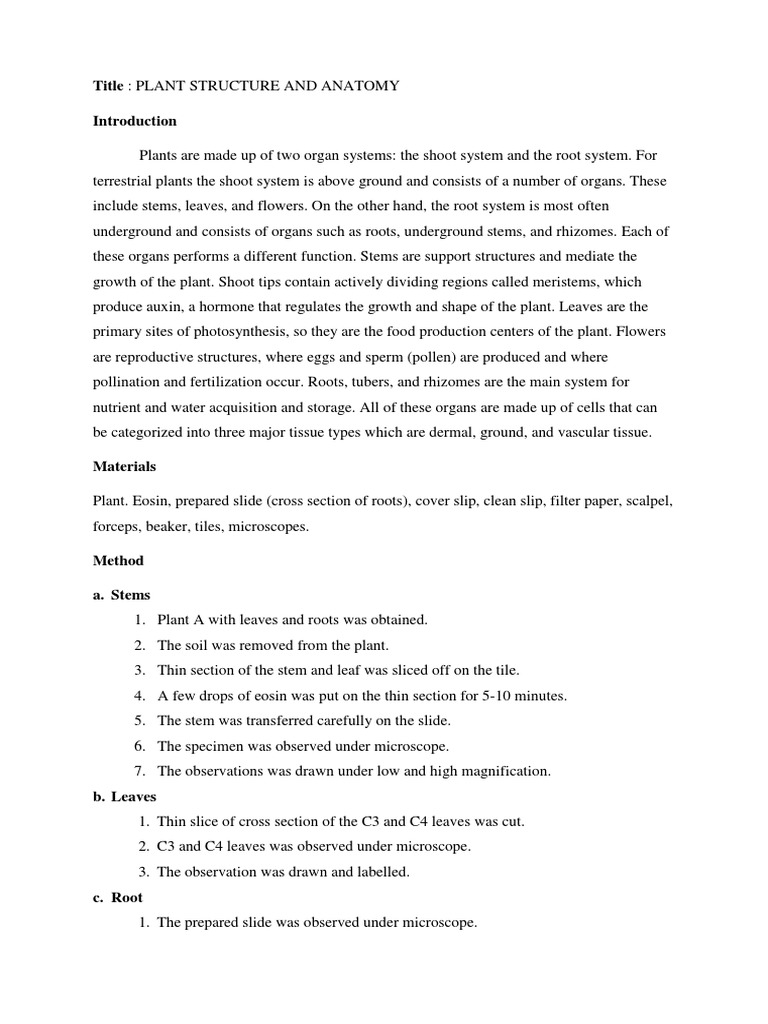Leaflab report 07 picture