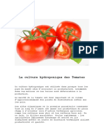 La Culture Hydroponique de Tomates