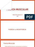 Fuerza Muscular