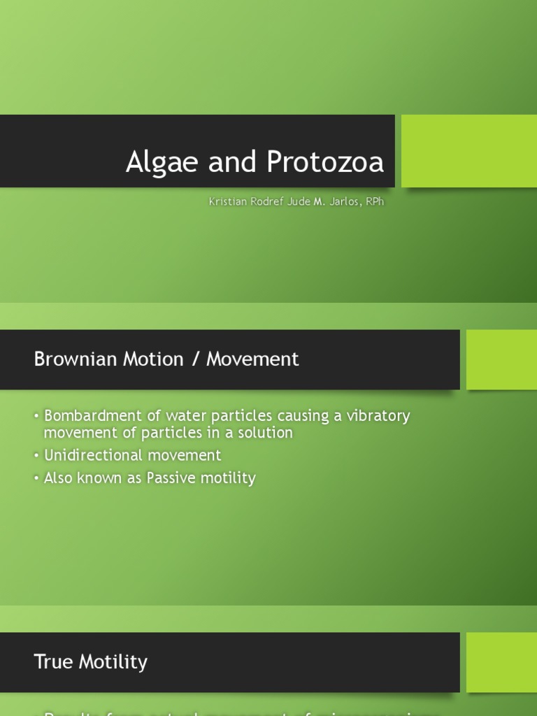Algae and Protozoa | PDF